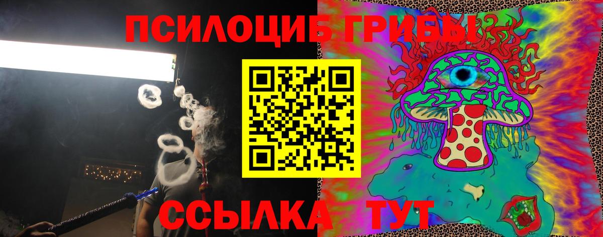 Хабаровск  Галлюциногенные грибы мицелий  Вход с VPN 
