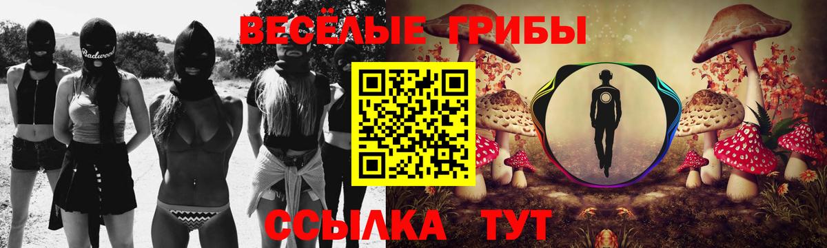 Псилоцибиновые грибы MAGIC MUSHROOMS Хабаровск